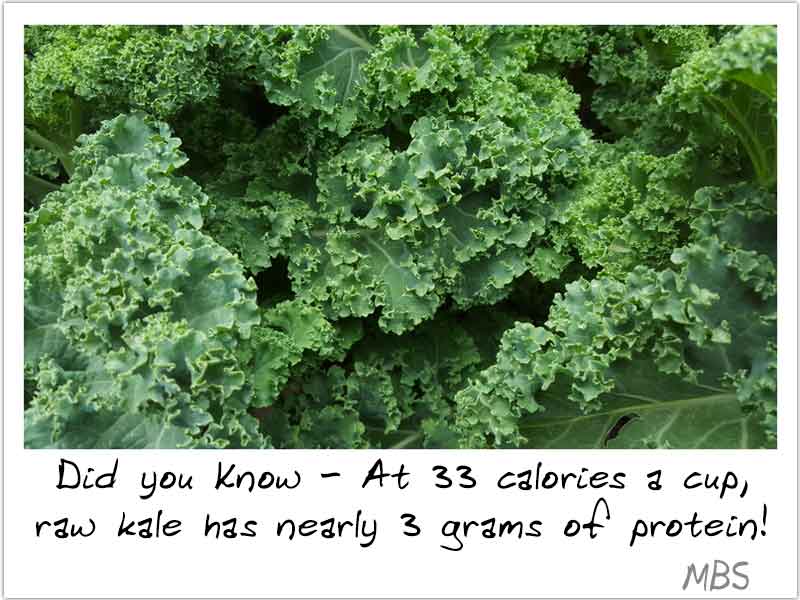 Kale for Bariatric Patients