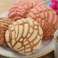 Conchas Conchas